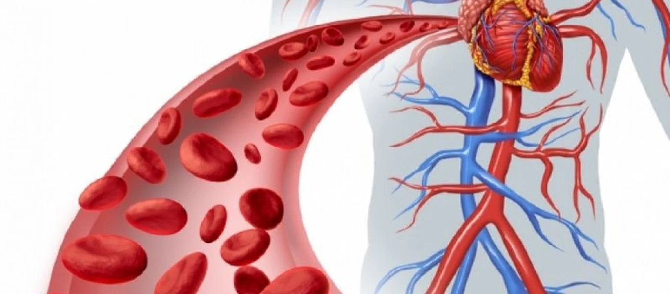 Αγγειίτιδα: Αυτά είναι τα συμπτώματα που φανερώνουν σοβαρό πρόβλημα στα αγγεία